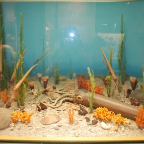 National Museum of Natural History 02
