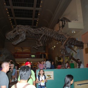 National Museum of Natural History 03