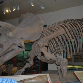 National Museum of Natural History 04