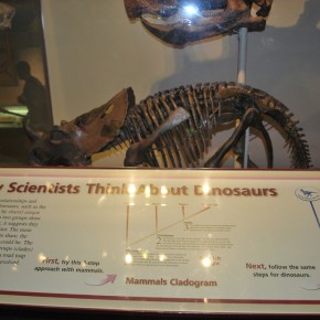 National Museum of Natural History 05