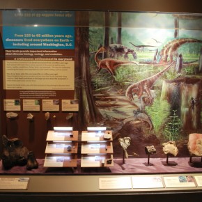 National Museum of Natural History 07