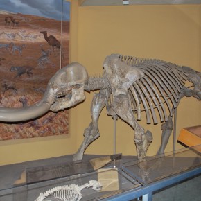 National Museum of Natural History 09