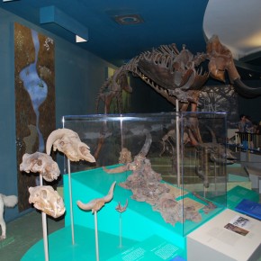 National Museum of Natural History 10