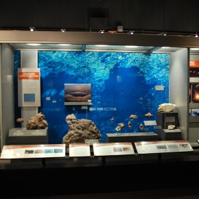 National Museum of Natural History 16