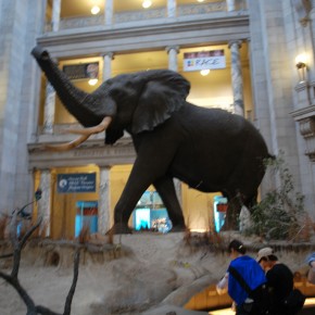 National Museum of Natural History 21