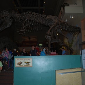 National Museum of Natural History 22