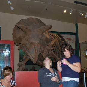 National Museum of Natural History 23