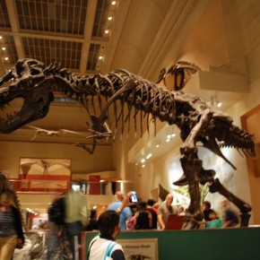 National Museum of Natural History 27