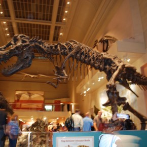 National Museum of Natural History 28