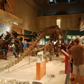 National Museum of Natural History 29