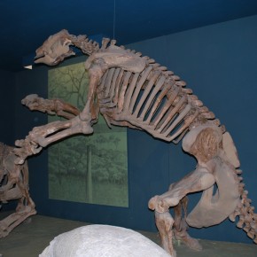 National Museum of Natural History 32