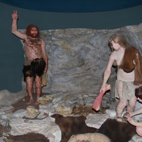National Museum of Natural History 33