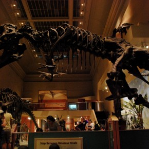 National Museum of Natural History 47