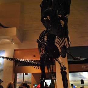 National Museum of Natural History 48
