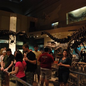 National Museum of Natural History 50