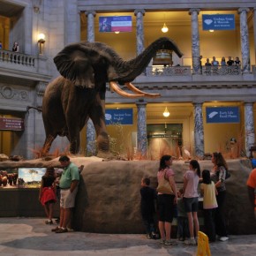 National Museum of Natural History 53