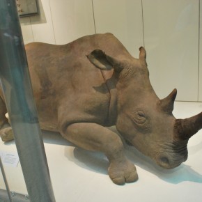 National Museum of Natural History 55
