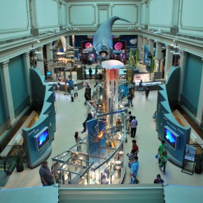 National Museum of Natural History 58