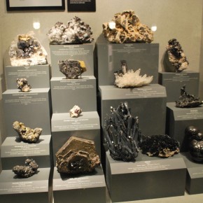 National Museum of Natural History 61