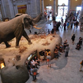 National Museum of Natural History 70