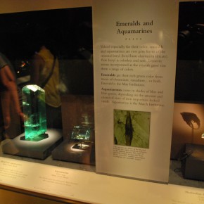 National Museum of Natural History 75